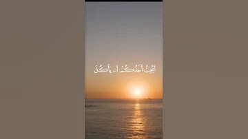 سورة الحجرات (Al hujuraat) الاية 12