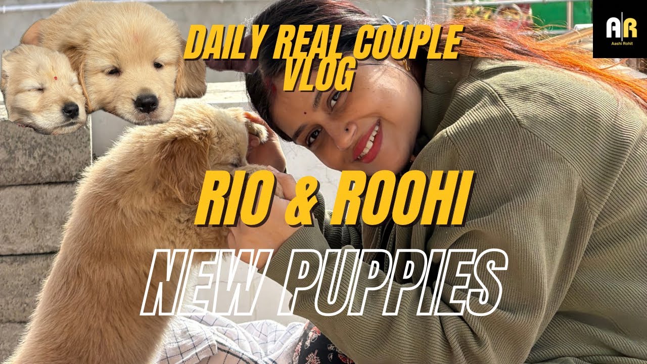 New puppies RIO & ROOHI | our Chaotic Daily Life 🐶 Couple Vlog 
