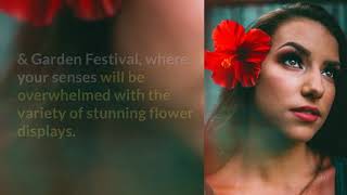 7 Best Spring Festivals in Florida You Simply Can’t Miss