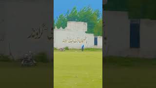 Qazi Shahid FOUR RUNS shot