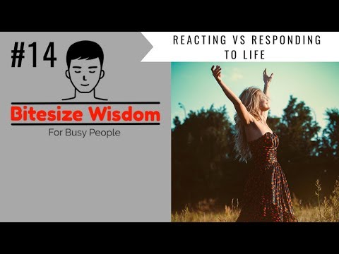 reacting-vs-responding:-the-importance-of-taking-responsibility-for-our-lives-(bitesize-wisdom-#14)
