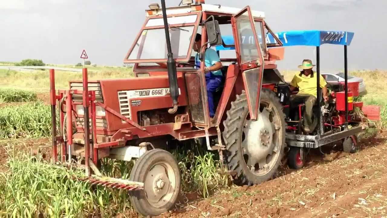 ZOCAPI Two Rows Garlic Harvester ZF2 YouTube