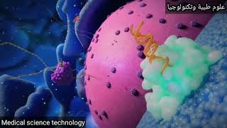 How Do Cells Defend Against Foreign DNA أحد_إمتع_الفيديوهات_العلمية