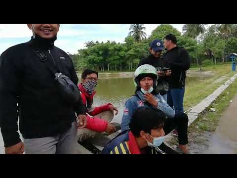 Ulin atuh meh teu si K0m4R..