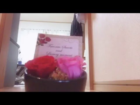 小さな恋の歌はもり