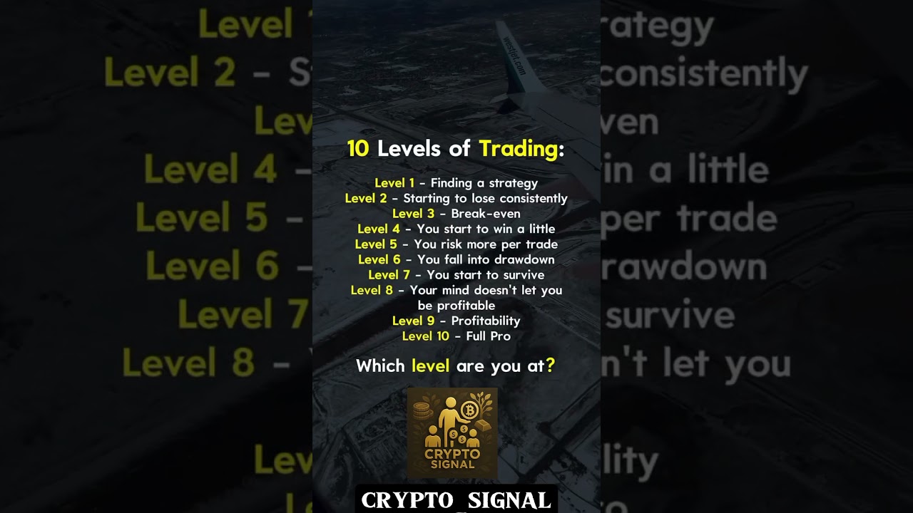 One Trade. Big Profit. 📈 Signal Success 