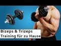Bizeps und Trizeps Training - Muskelaufbau zuhause - Trainingsplan