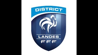 DESTI FOOT