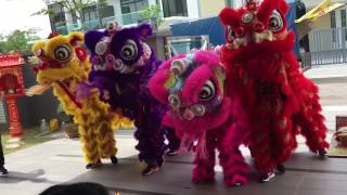 New house lion and dragon dance 2017 part 3
