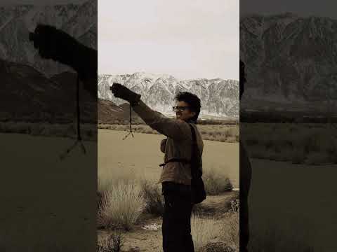 How Falconers Train the World's Fastest Bird 🦅 #shorts #falconry  #falcon