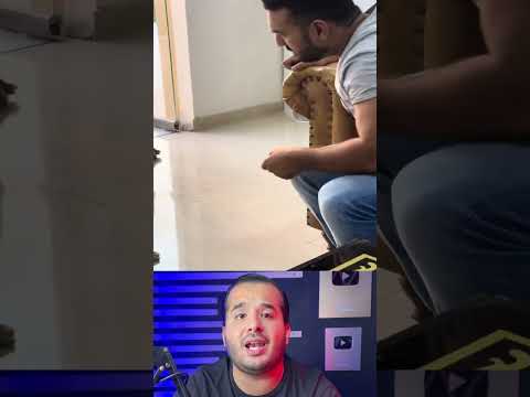 Así llega por su cría! #shorts