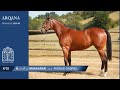 Arqana 202009  n25  f  muhaarar prsente par le haras du cadran