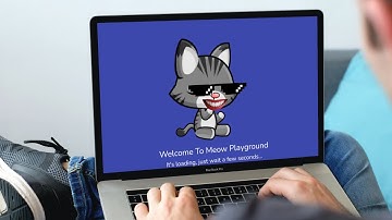 Meow Playground On Crack😂👌