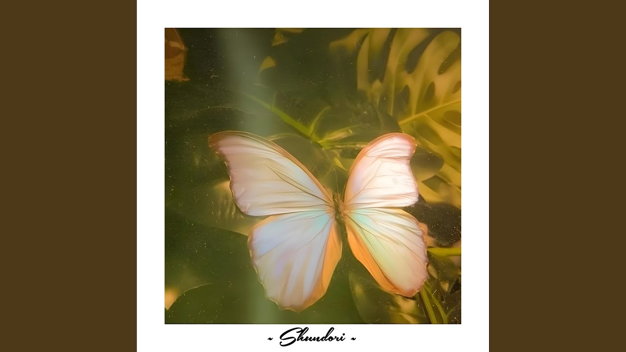 Shundori