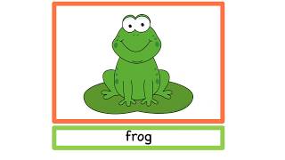 GRADE 2 UNIT 8 : PETS FLASHCARDS