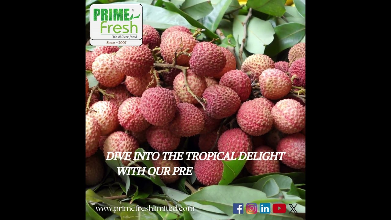 Premium Lychees for Your Business