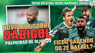 Gabigol no PALMEIRAS terá semana DECISIVA l Saiba quando ZÉ RAFAEL volta ao time l Veiga soltou essa