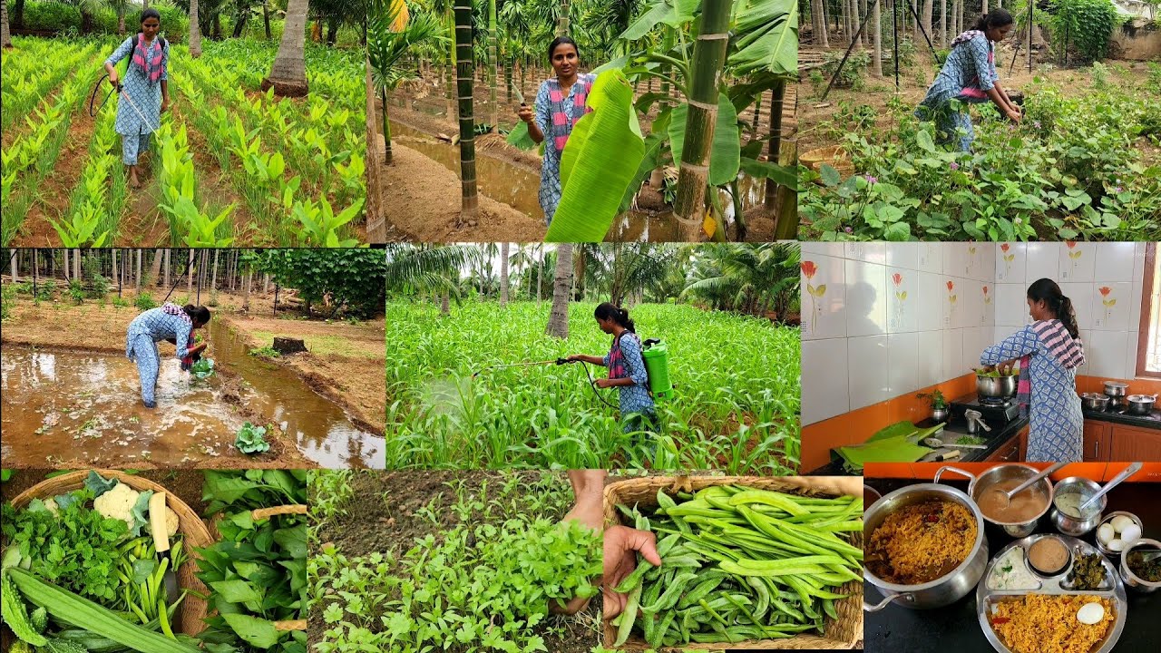 சில நேரங்கள்ல காலத்தில் கயிறு கட்டி பின்னாடி இழுக்குதுங்க/farm work/Vegetables harvesting n cooking 