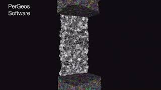 Celebrity PerGeos Software | Large data visualization and analysis of a sandstone sample Profile
