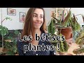 Les bétises plantes ! #1 | Vertbobo