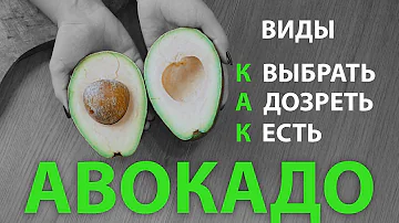 Три сорта АВОКАДО! Чем отличаются, как выбирать, хранить и применять.