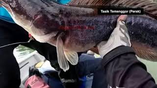 Geografi Tingkatan 1 : Kepentingan Tasik