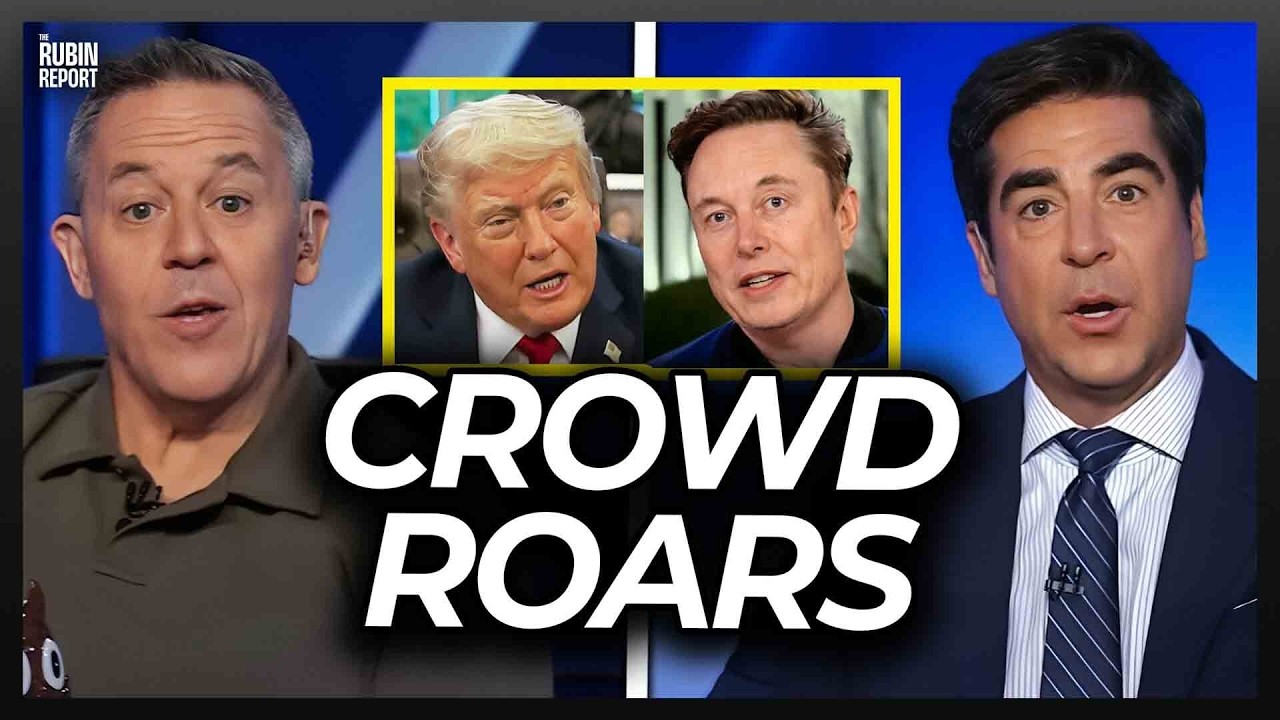 Gutfeld Is Shocked by Unexpected Take on Elon Musk Vs. Trump