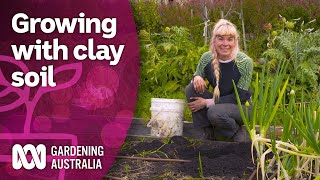 Tips for growing with heavy clay soil in your garden | Discovery | Gardening Australia