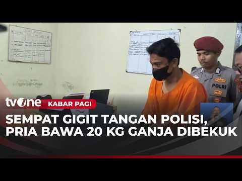 Kurir Diamankan Polisi saat Antar 20 Kg Ganja | Kabar Pagi