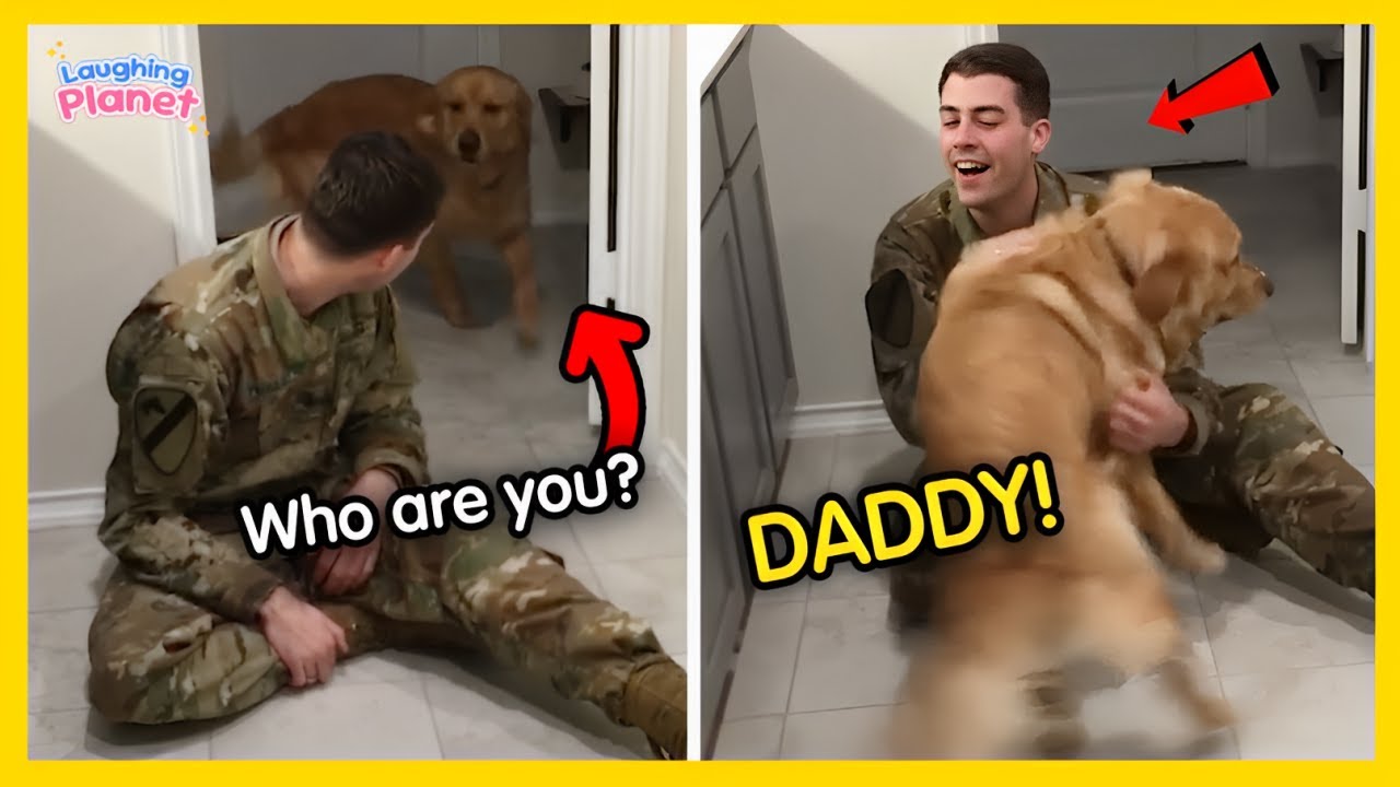 🐕🥰Most Heartwarming Dogs Reunions with Their Owners That Will Melt Your Heart❤️