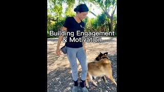 How to Build Engagement & Motivation with Your Dog