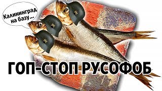Русофобы наносят ответный удар. Польша, Англия и Литва в окопах информационной войны. Русофобы наносят ответный удар. Польша, Англия и Литва в окопах информационной войны.