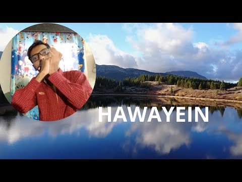 Hermonica Hawayein Hawayein Hermonica And Synthesizer Cover 