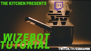 WizeBot Part 1! Introduction, and commands.