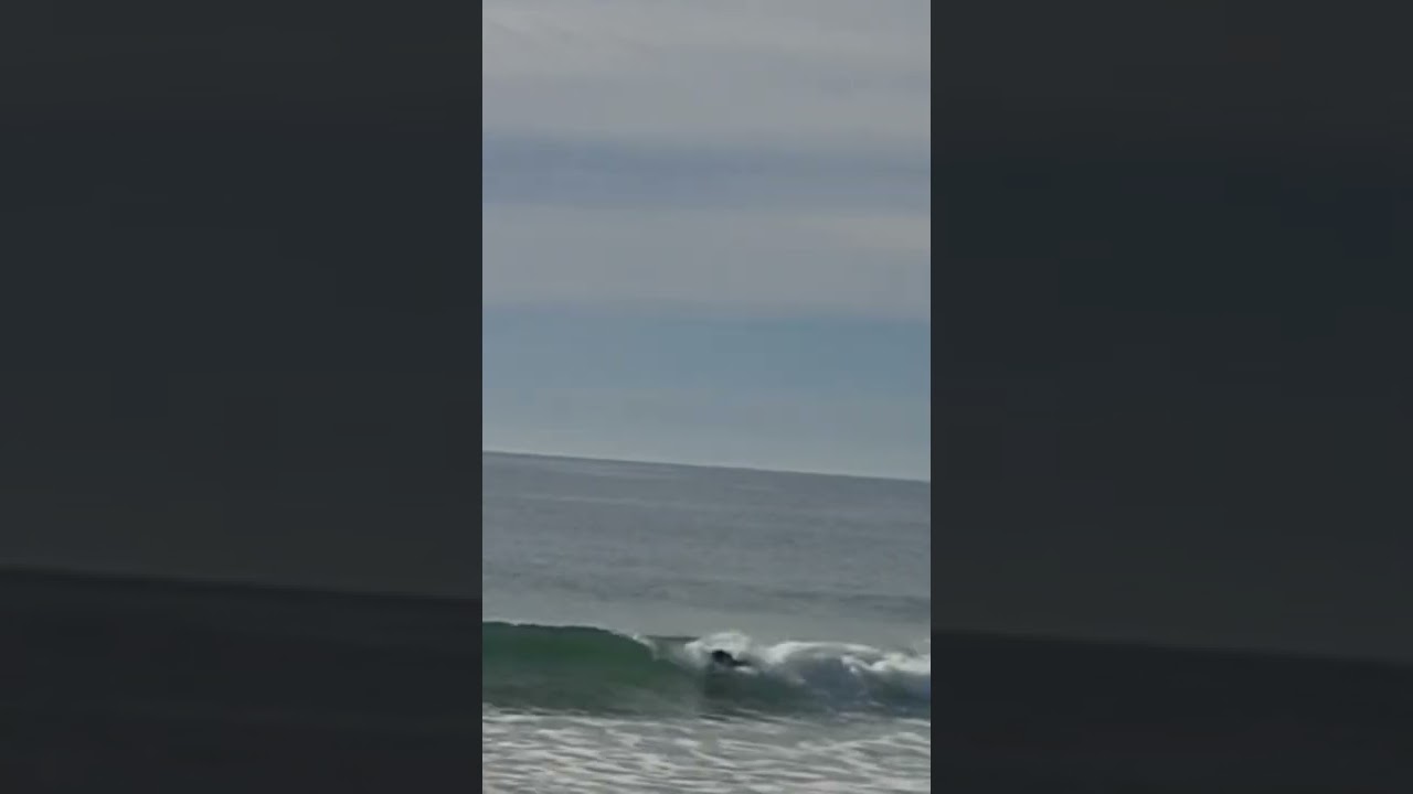 worlds smallest waves 