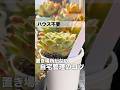 ハウスがない自宅での育て方　#多肉植物 #succulent #エケベリア #モキモキ