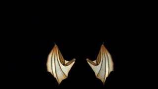 Carrara Bat/Dragon wings test 02