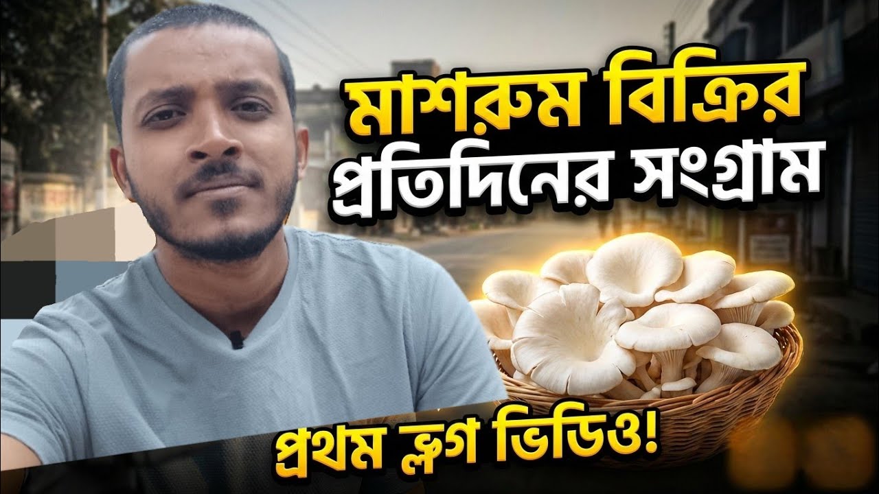 🍄 ১২ থেকে ২২ জন সাবস্ক্রাইবার! মাত্র ৩ দিনে এই ম্যাজিক কীভাবে হলো? ✨