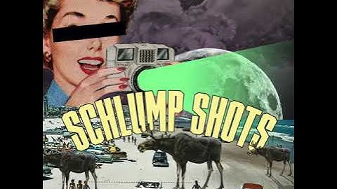 MSXII Sound Design - Schlump Shots Vol. 1 Sample Pack