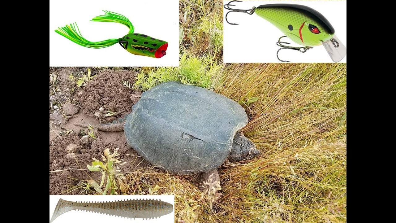 Fishing Rip Rap with Moving Baits YouTube