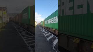 187 511 bei der Durchfahrt im Bahnhof Bad Soden - Salmünster #METRANS #Güterzug #HHLA