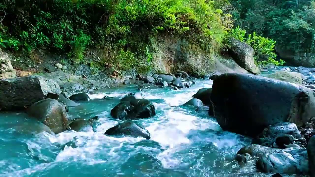 Mountain River Flowing 24/7 - Water Sounds, Nature White Noise. River Sounds for Sleeping