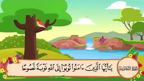 ‎سورةُ التحريم  مكررة 3 مرات - المصحف المعلم بصوت المنشاوي رحمه الله تعالى