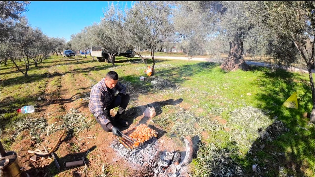 Zeytin hasatında final~~~Fİnalde Mangal keyfi ~#dana #besi #çiftlik