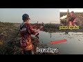 Casting gabusfuull strike gak pengen pulang temu spot beginimancing castinggabusfishing spot