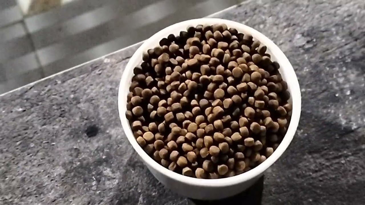 Cập nhật giá cá chuối hoa thương phẩm trên thị trường 