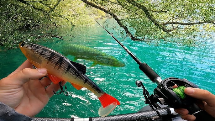 Autocollant Peche aux CANARDS Rainbow