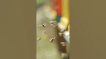 Когда заканчивается сезон пчел?