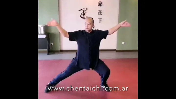 Maestro Chen Chao, discpulo de Zhu Laohu.