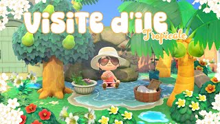 Visites d'îles TROPICALES - 🌺 ACNH 🌺 -